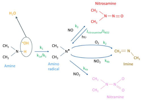 Figure 2 - Schéma générique de dégradation des amines (source : CERC)