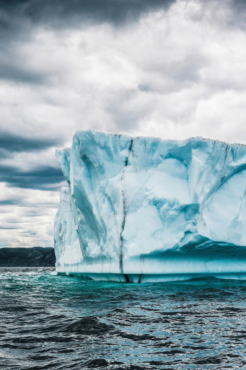 Formation climat et fresques collaboratives